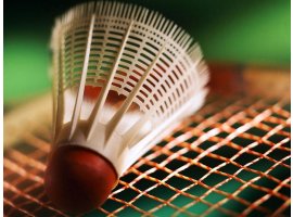 Badminton Direkleri ve Hakem Standları